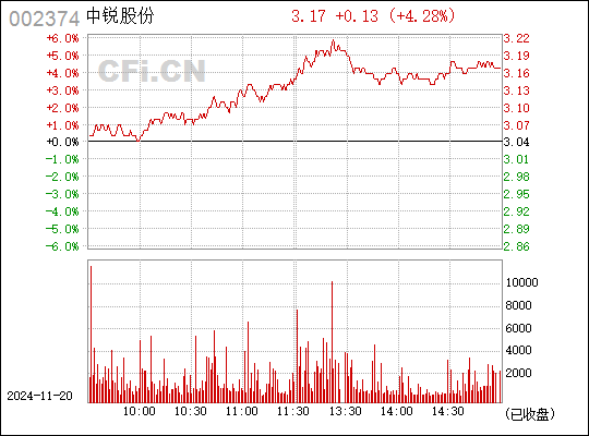 丽鹏股份最新动态全面解读